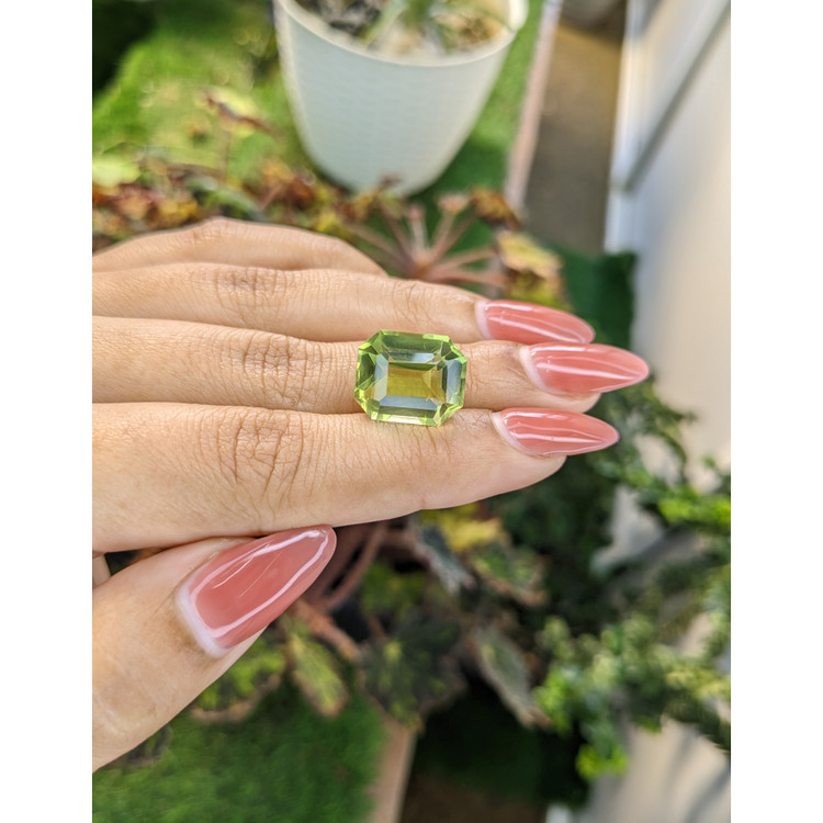 11.78 Ct. Prasiolite from Brazil