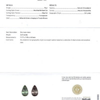 2.61 Ct. Alexandrite from Ceylon (Sri Lanka) Scan Report