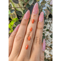 69.69 Ct. Cabochon Coral from Italy Life Style