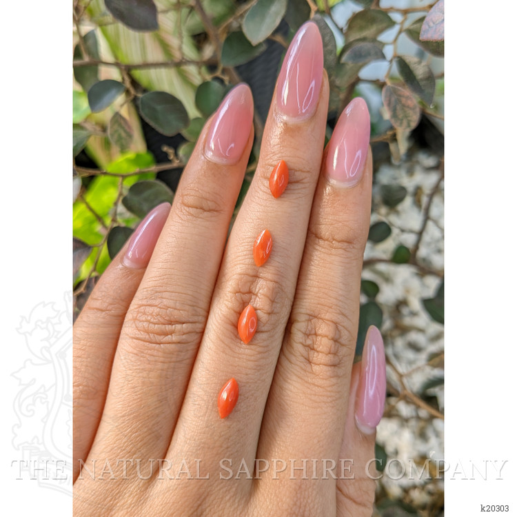 69.69 Ct. Cabochon Coral from Italy