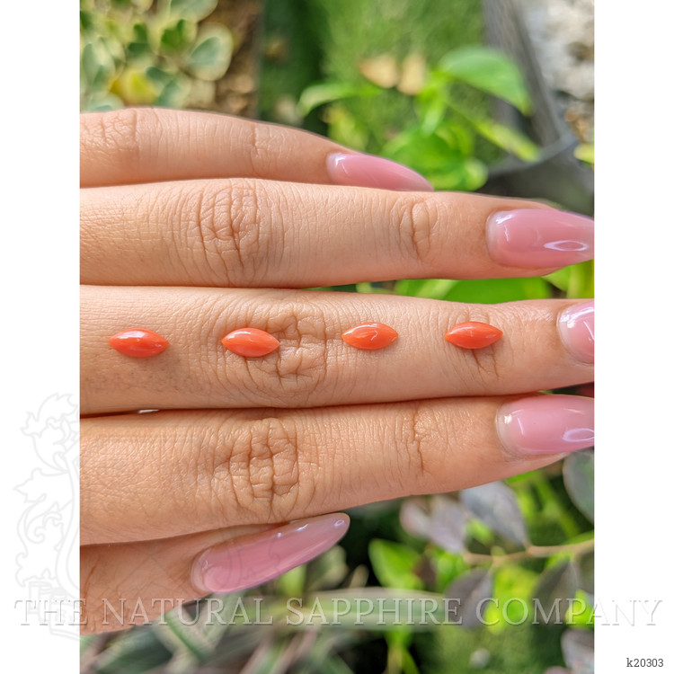 69.69 Ct. Cabochon Coral from Italy