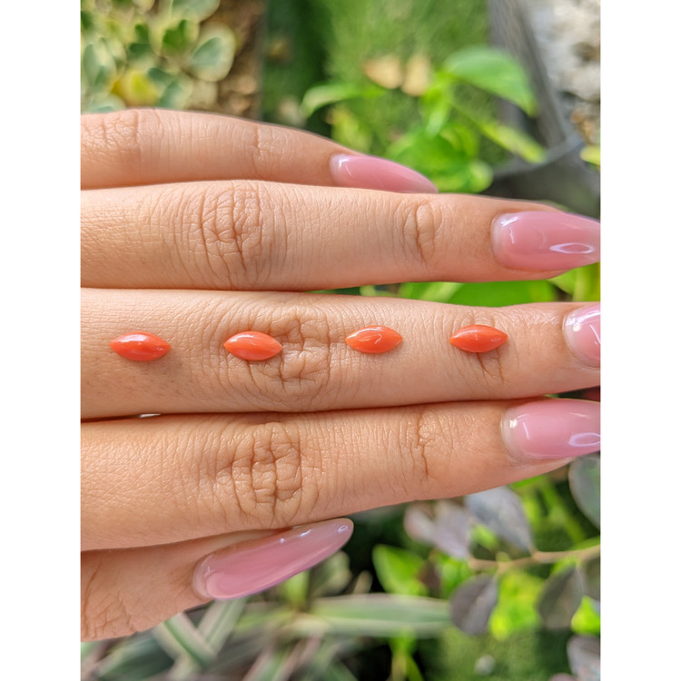 69.69 Ct. Cabochon Coral from Italy