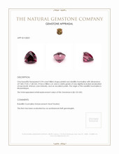 3.94 Ct. Rubellite Tourmaline from Mozambique Appraisal