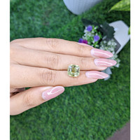 8.03 Ct. Chrysoberyl from Tanzania Life Style