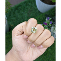 8.03 Ct. Chrysoberyl from Tanzania Life Style