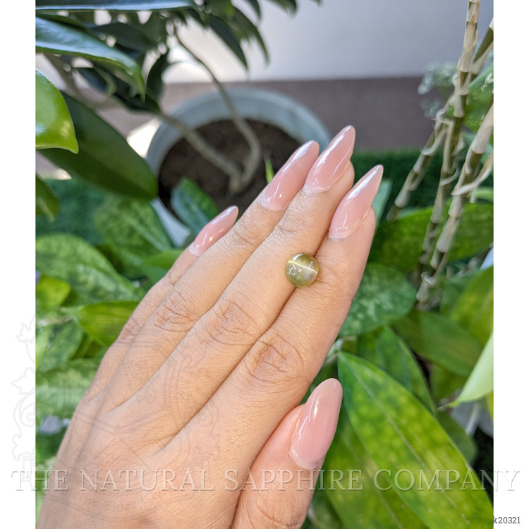 2.94 Ct. Cabochon Chrysoberyl from Tanzania