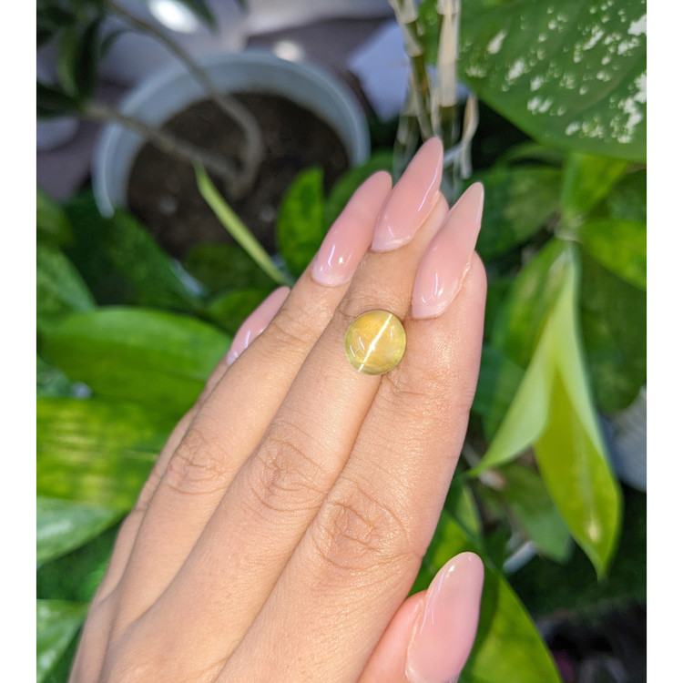 4.85 Ct. Cabochon Chrysoberyl from Tanzania