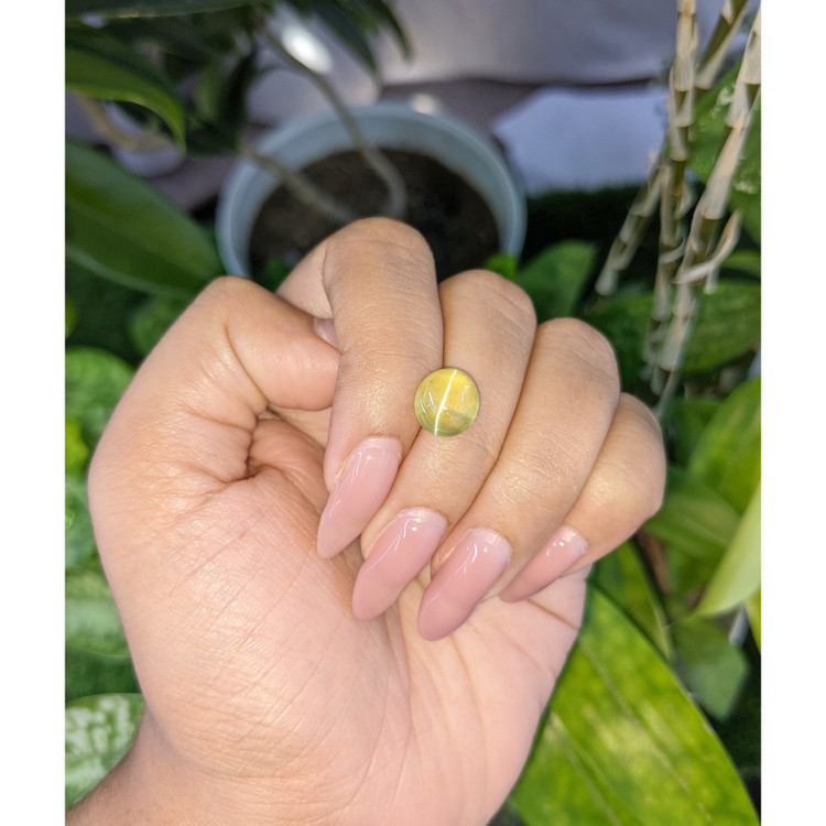 4.85 Ct. Cabochon Chrysoberyl from Tanzania