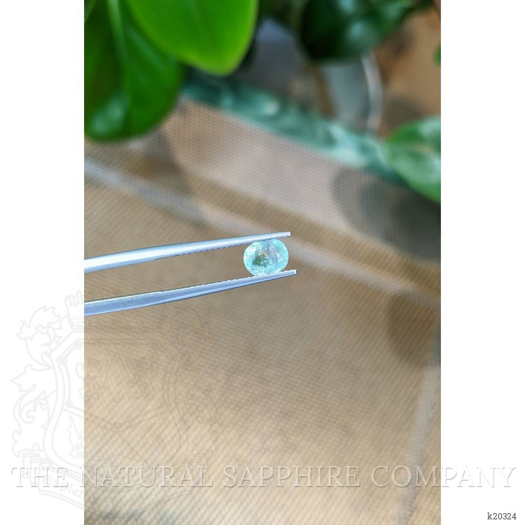 0.78 Ct. Paraiba Tourmaline from Mozambique