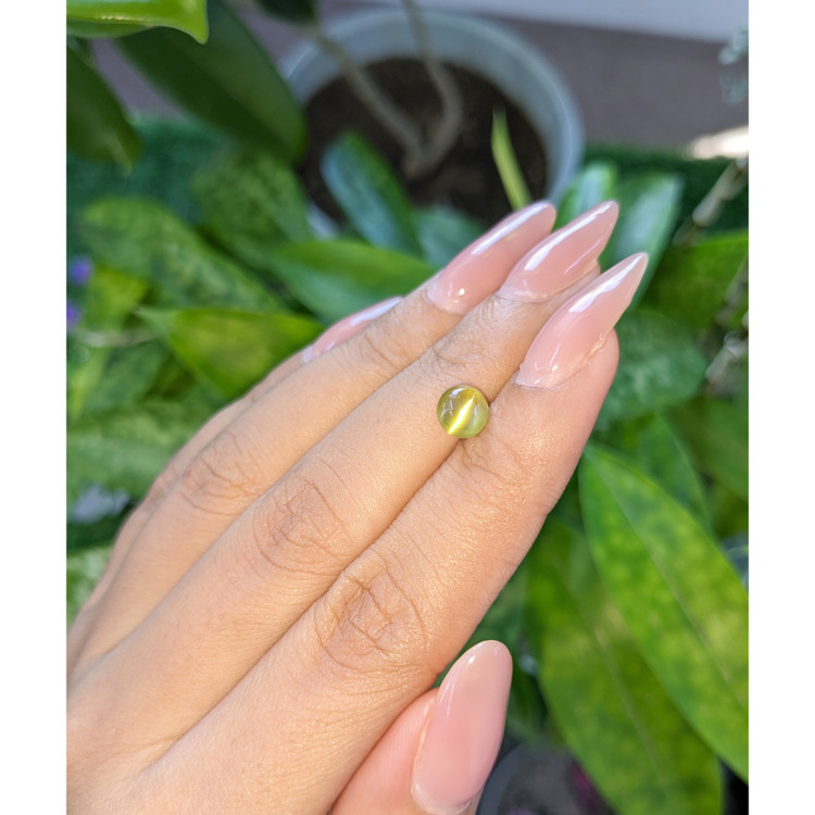 1.53 Ct. Cabochon Chrysoberyl from Tanzania