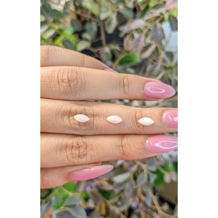 5.25 Ct. Cabochon Coral from Italy