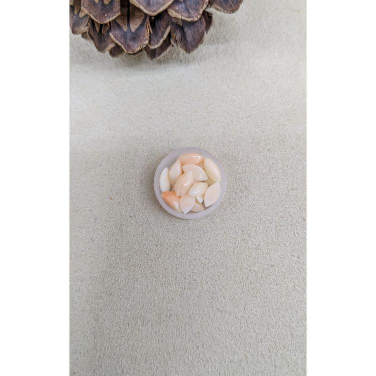 5.25 Ct. Cabochon Coral from Italy