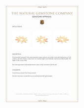 9.48 Ct. Cabochon Coral from Italy Appraisal