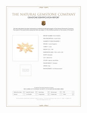 9.48 Ct. Cabochon Coral from Italy Scan Report