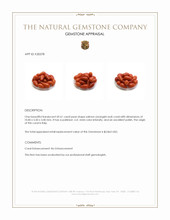 69.61 Ct. Salmon (Orangish Red) Coral from Italy Appraisal