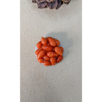 69.61 Ct. Coral from Italy Life Style