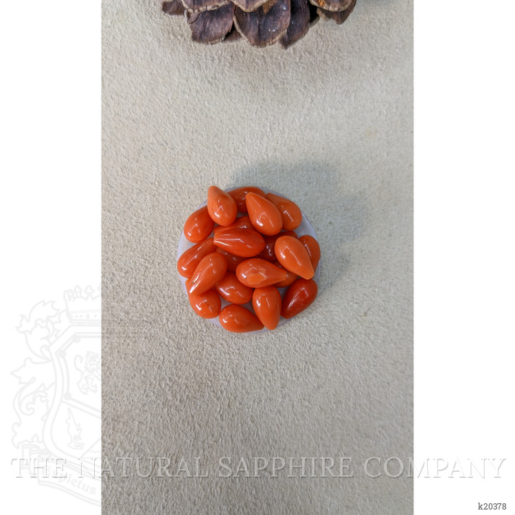 69.61 Ct. Coral from Italy