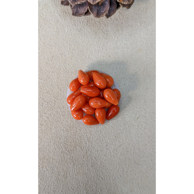 69.61 Ct. Coral from Italy