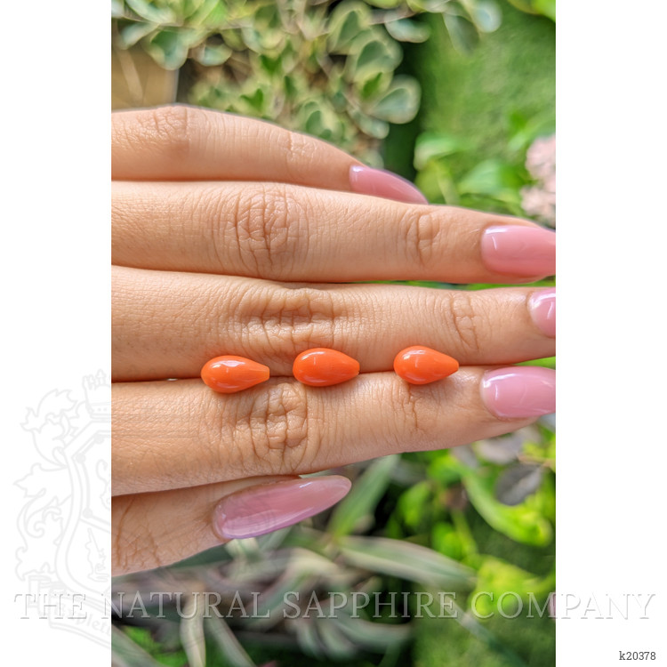 69.61 Ct. Coral from Italy