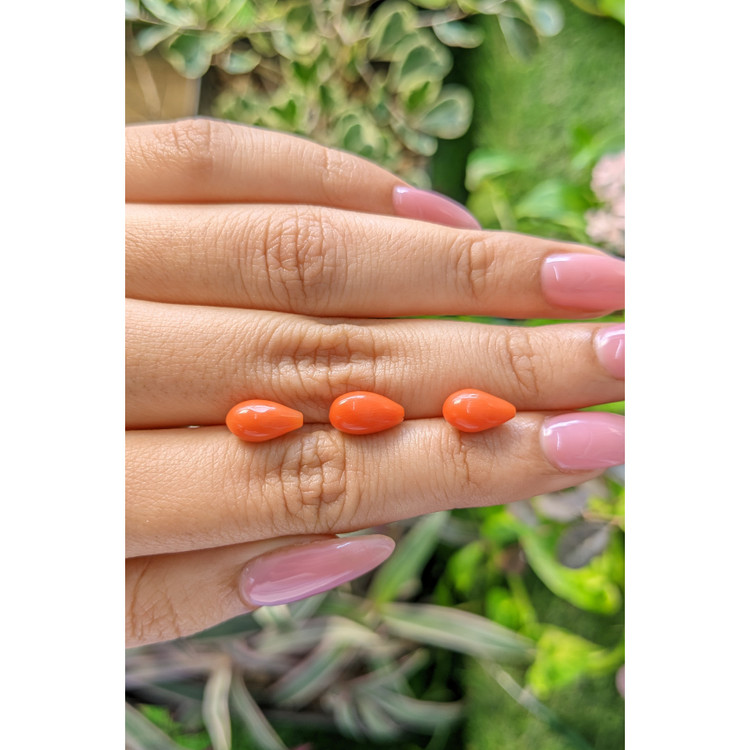 69.61 Ct. Coral from Italy