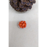 13.41 Ct. Coral from Italy Life Style