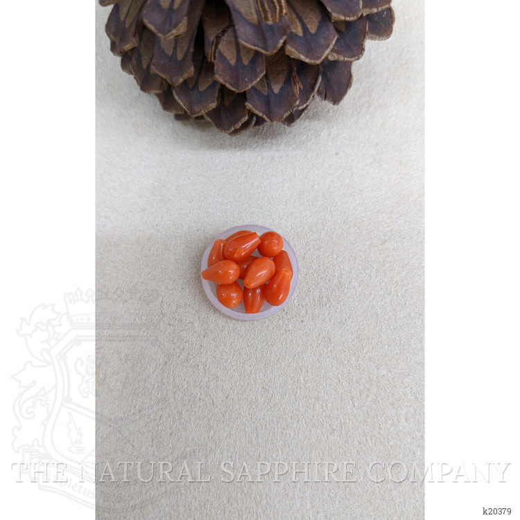 13.41 Ct. Coral from Italy