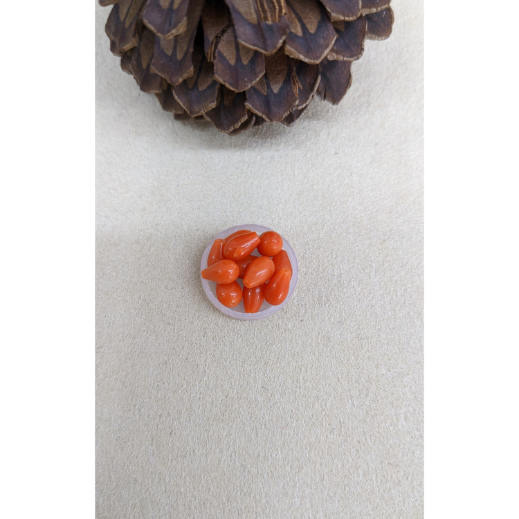 13.41 Ct. Coral from Italy