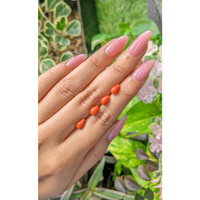 13.41 Ct. Coral from Italy Life Style