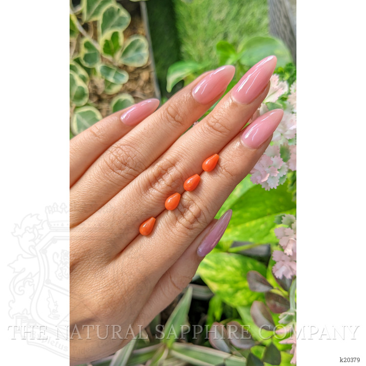 13.41 Ct. Coral from Italy