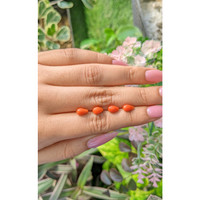 13.41 Ct. Coral from Italy Life Style