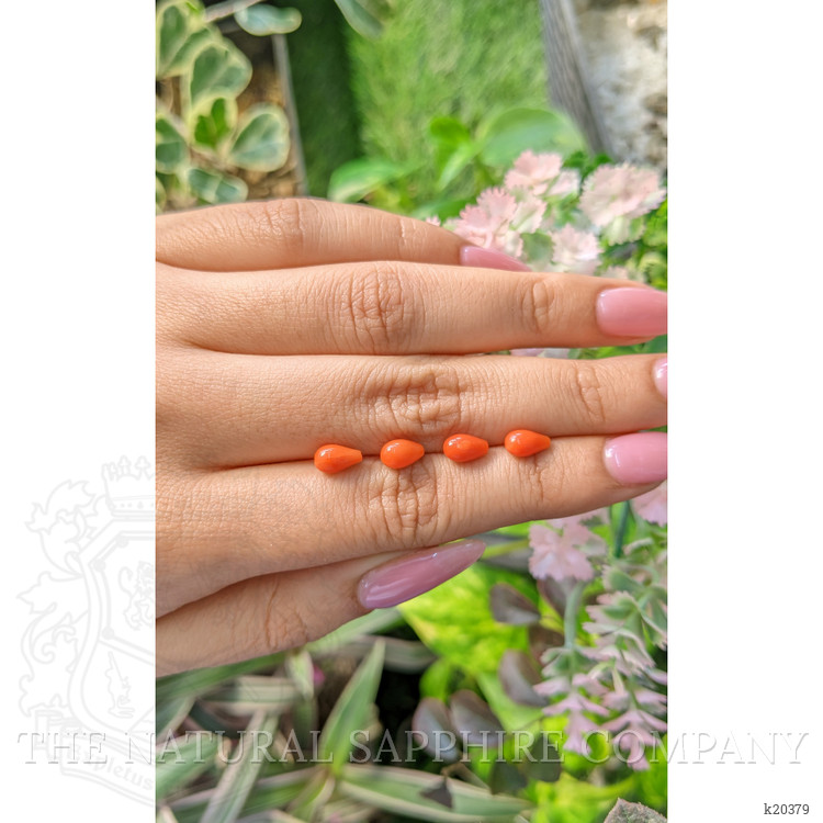 13.41 Ct. Coral from Italy