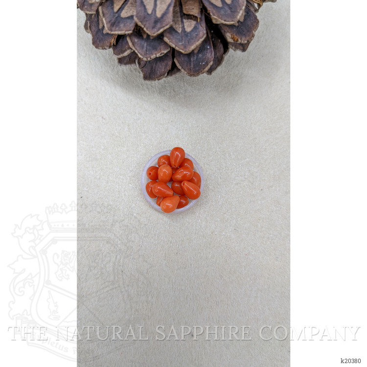9.72 Ct. Coral from Italy