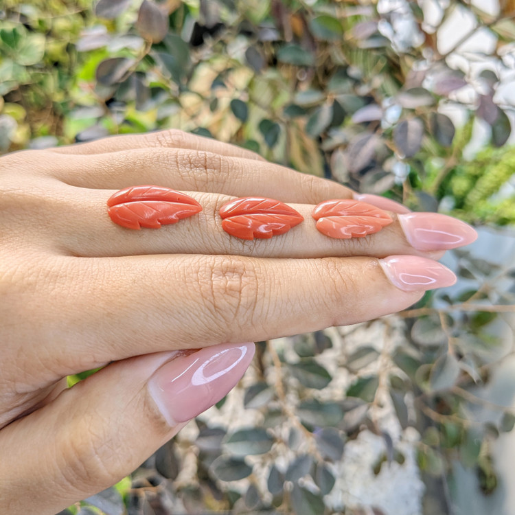 293.11 Ct. Coral from Italy