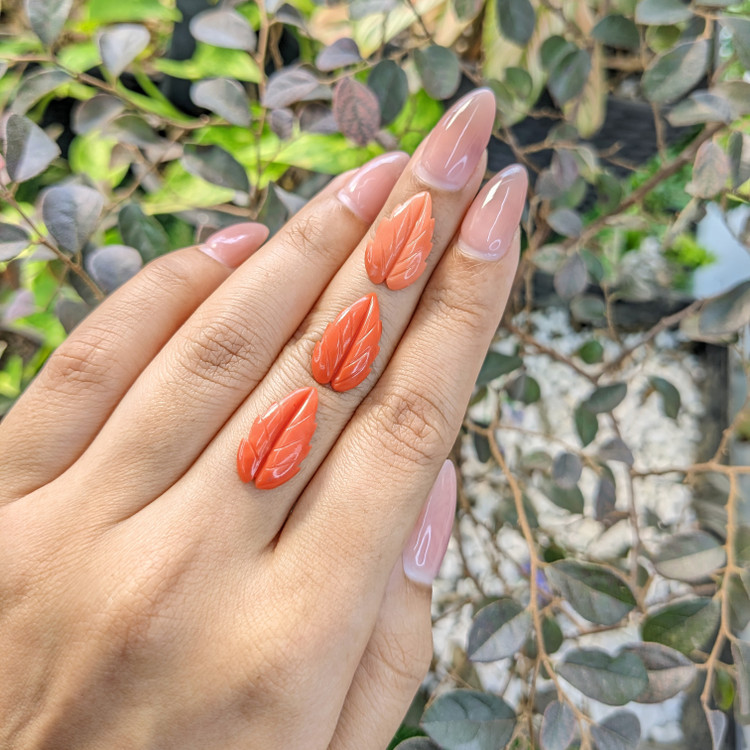 293.11 Ct. Coral from Italy