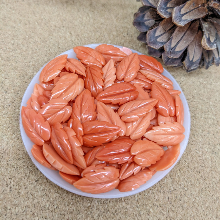 293.11 Ct. Coral from Italy