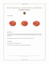 153.56 Ct. Salmon (Orange) Coral from Italy Appraisal