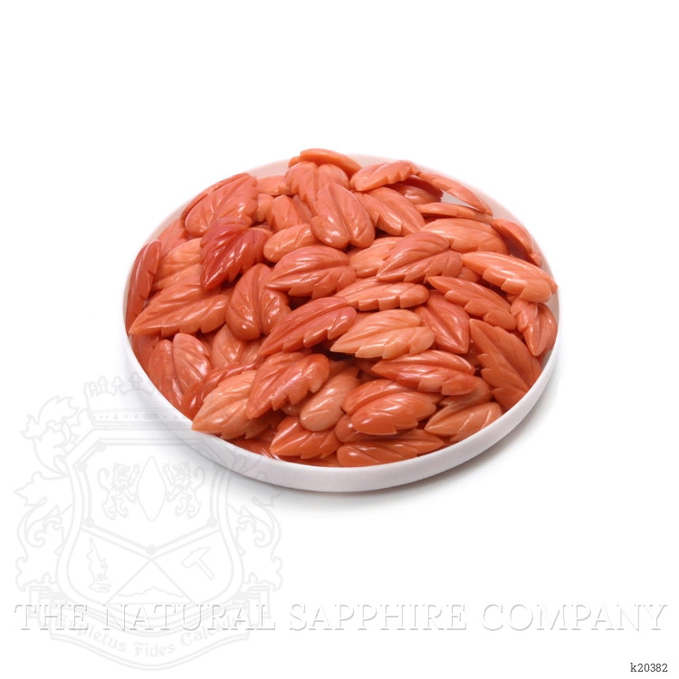 153.56 Ct. Coral from Italy