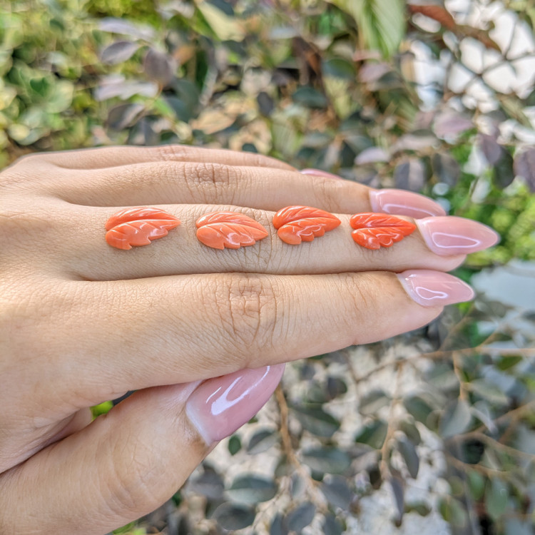 153.56 Ct. Coral from Italy