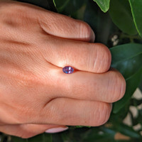 0.69 Ct. Alexandrite from Brazil Life Style