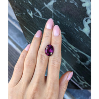 11.83 Ct. Garnet from Ceylon (Sri Lanka) Life Style