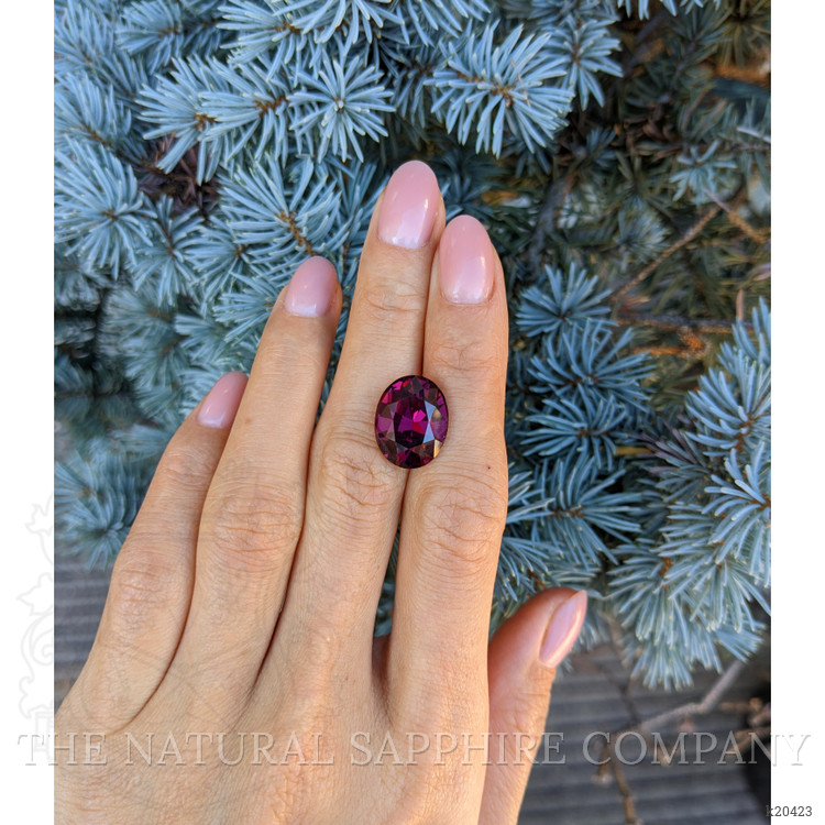 11.83 Ct. Garnet from Ceylon (Sri Lanka)