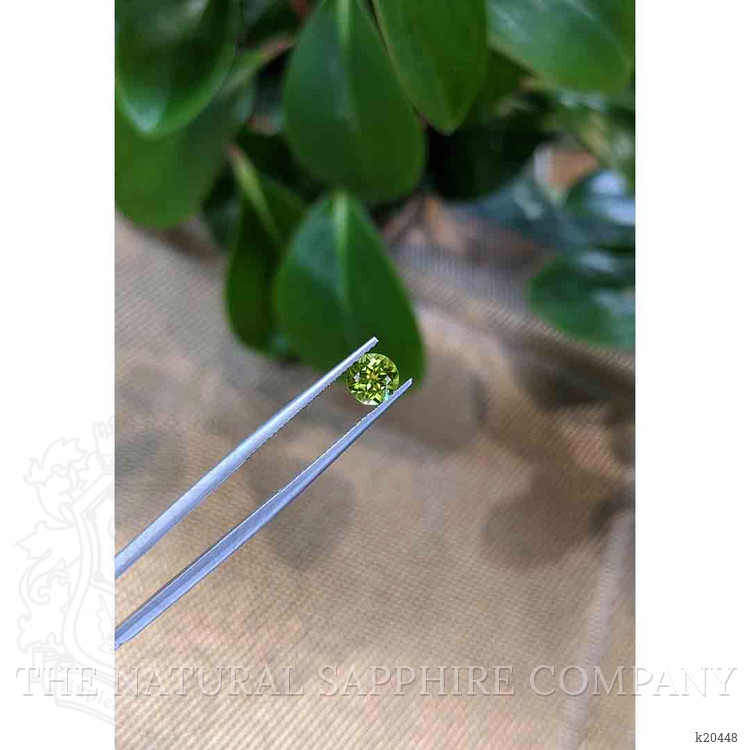 0.83 Ct. Peridot from Pakistan