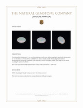 2.14 Ct. Multi Color White Opal (Light Opal) from Australia Appraisal