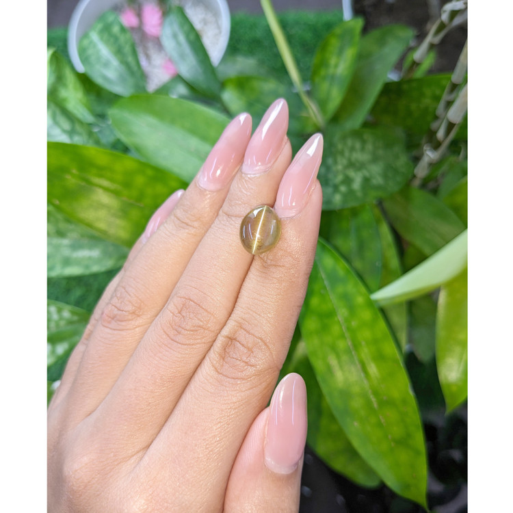 6.53 Ct. Cabochon Chrysoberyl from Tanzania