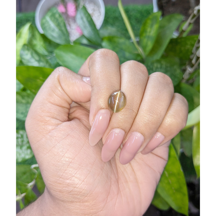 6.53 Ct. Cabochon Chrysoberyl from Tanzania