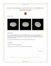 6.56 Ct. Cabochon Crystal/Jelly Opal from Australia Appraisal