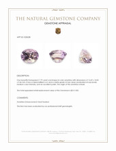 7.79 Ct. Bi Color Ametrine from Brazil Appraisal