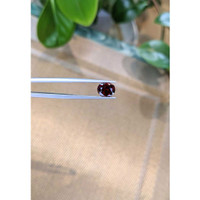 2.83 Ct. Spessartite Garnet from Madagascar Life Style