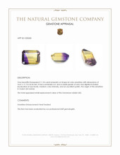 11.24 Ct. Bi Color Ametrine from Ceylon (Sri Lanka) Appraisal