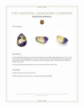 6.92 Ct. Bi Color Ametrine from Ceylon (Sri Lanka) Appraisal